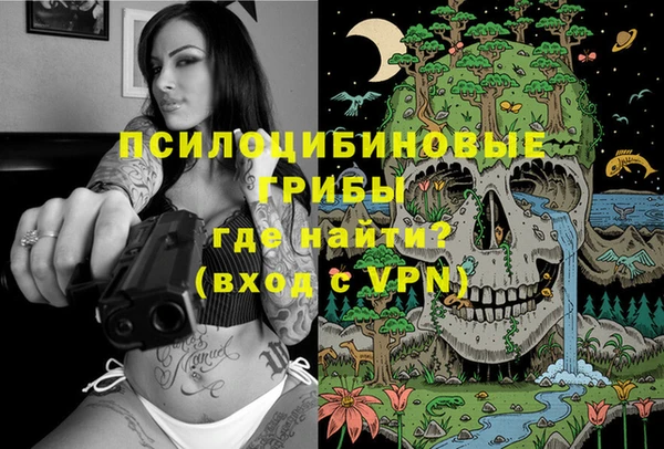 герыч Арсеньев