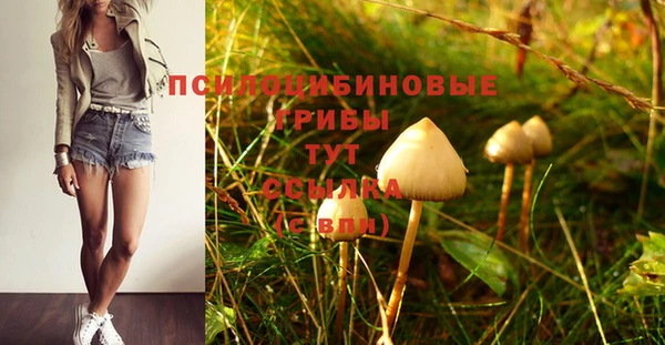 герыч Арсеньев
