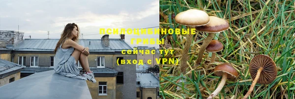 а пвп мука Аркадак