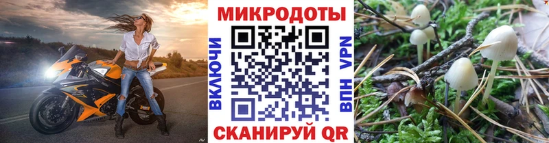 сколько стоит  Урай  KRAKEN маркетплейс  Псилоцибиновые грибы Magic Shrooms 